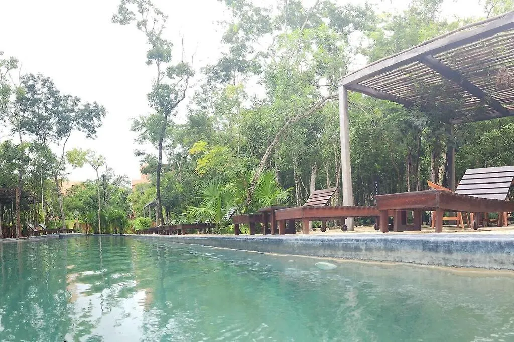 Apartment Paz Tranquilidad Y Comodidad Pet Friendly Tulum