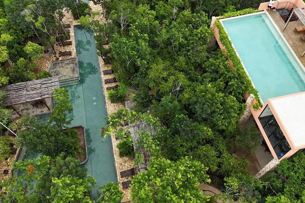 Paz Tranquilidad Y Comodidad Pet Friendly Tulum Mexico