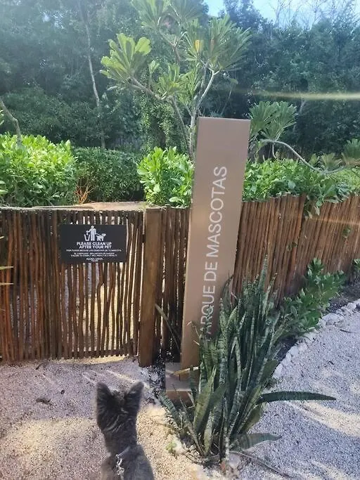 Paz Tranquilidad Y Comodidad Pet Friendly Tulum